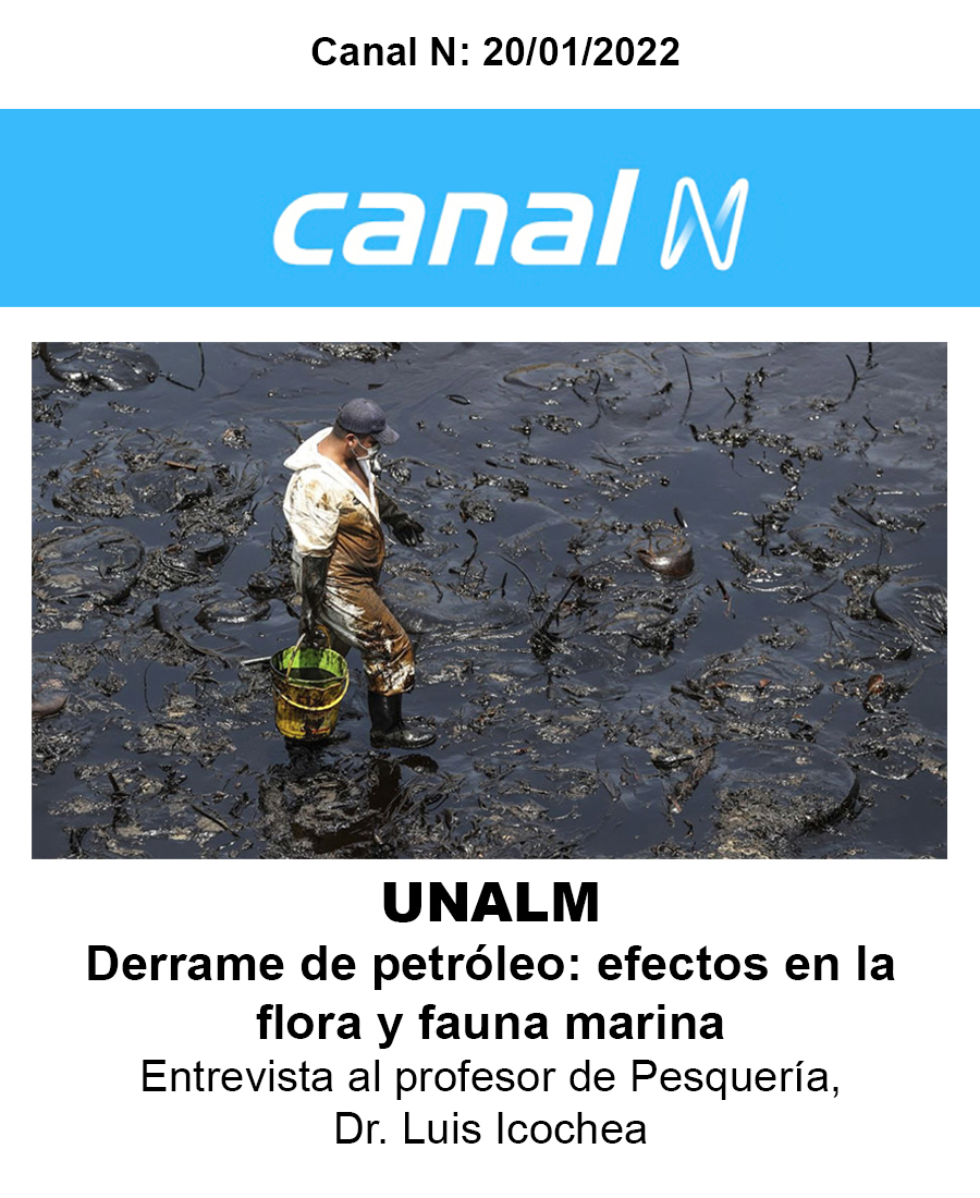 Canal N