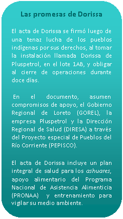 Rectángulo redondeado: Las promesas de Dorissa    El acta de Dorissa se firmó luego de una tenaz lucha de los pueblos indígenas por sus derechos, al tomar la instalación llamada Dorissa de Pluspetrol, en el lote 1AB, y obligar al cierre de operaciones durante doce días.     En el documento, asumen compromisos de apoyo, el Gobierno Regional de Loreto (GOREL), la empresa Pluspetrol y la Dirección Regional de Salud (DIRESA) a través del Proyecto especial de Pueblos del Río Corriente (PEPISCO).    El acta de Dorissa incluye un plan integral de salud para los ashuares, apoyo alimentario del Programa Nacional de Asistencia Alimenticia (PRONAA)  y entrenamiento para vigilar su medio ambiente.  