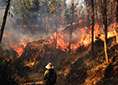 Incendios Forestales en la Sierra Sur del Per?