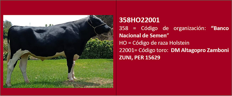 Código de raza Holstein