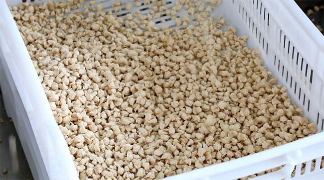 cereal con proteína de pota y granos andinos