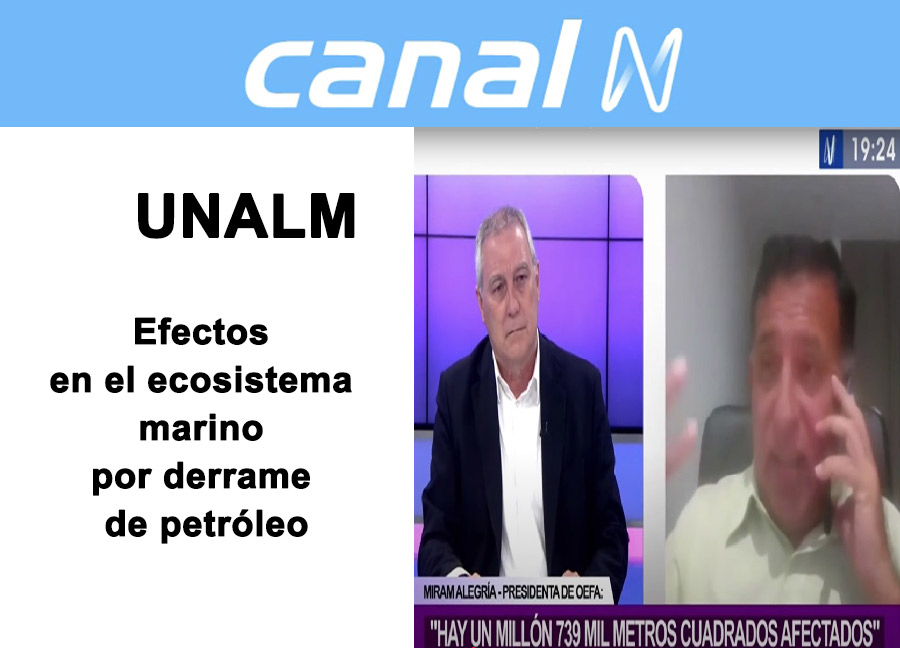 CANAL N