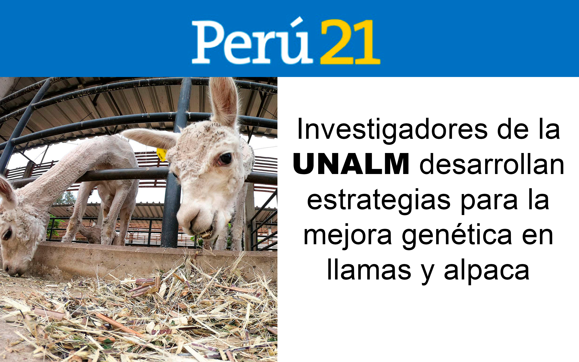 PERÚ 21