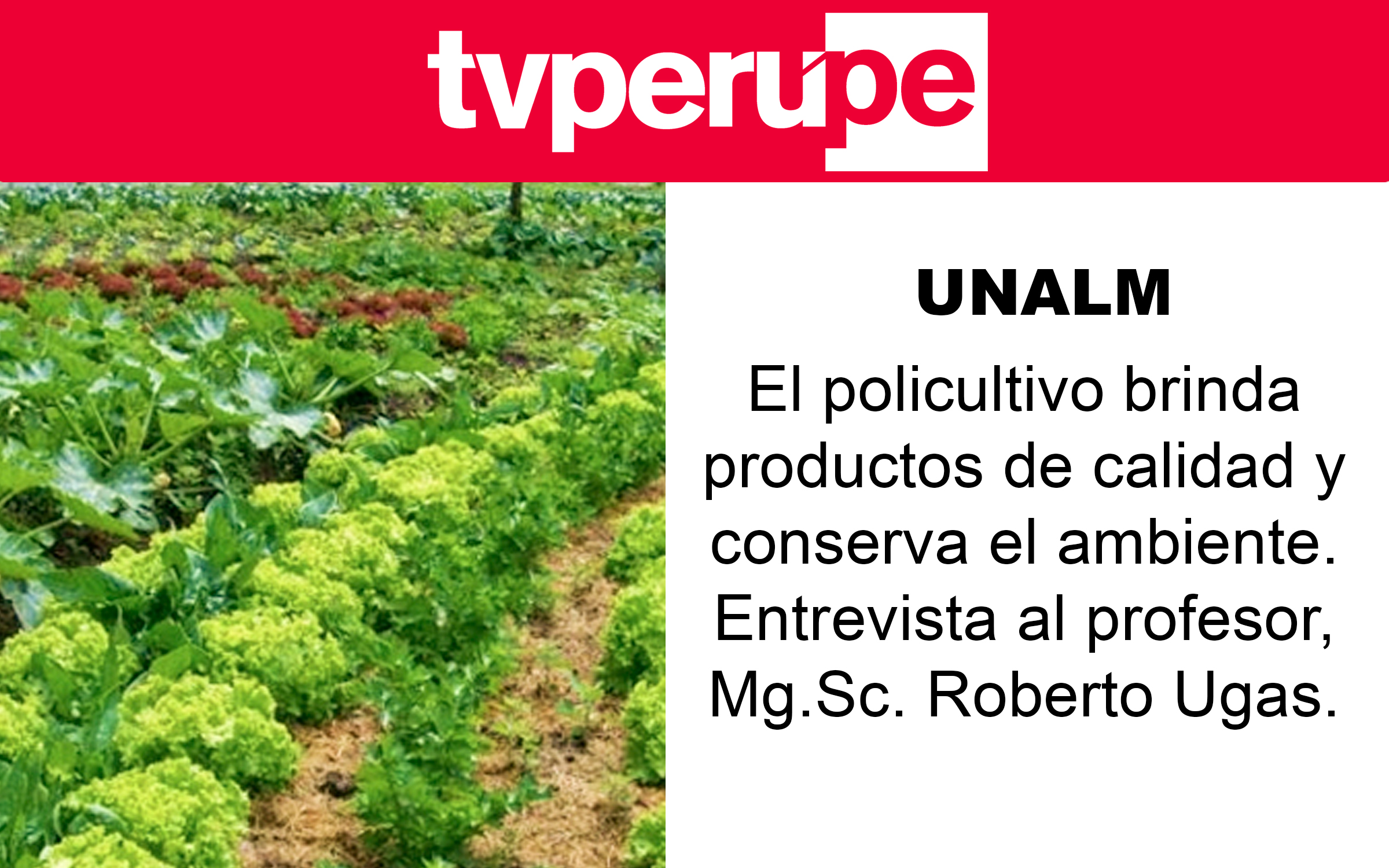 TV Perú