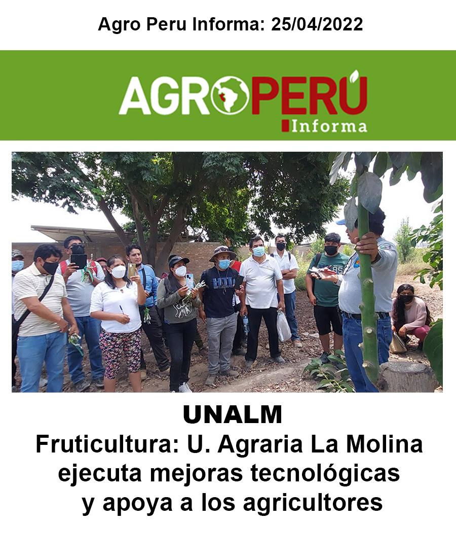 Andina