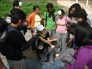 Actividades de campo