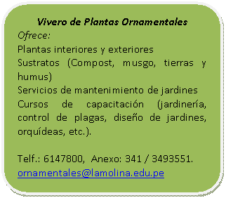 Proceso alternativo: Vivero de Plantas Ornamentales  Ofrece:  Plantas interiores y exteriores  Sustratos (Compost, musgo, tierras y humus)  Servicios de mantenimiento de jardines   Cursos de capacitación (jardinería, control de plagas, diseño de jardines, orquídeas, etc.).    Telf.: 6147800,  Anexo: 341 / 3493551.  ornamentales@lamolina.edu.pe     