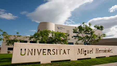 nota gaceta