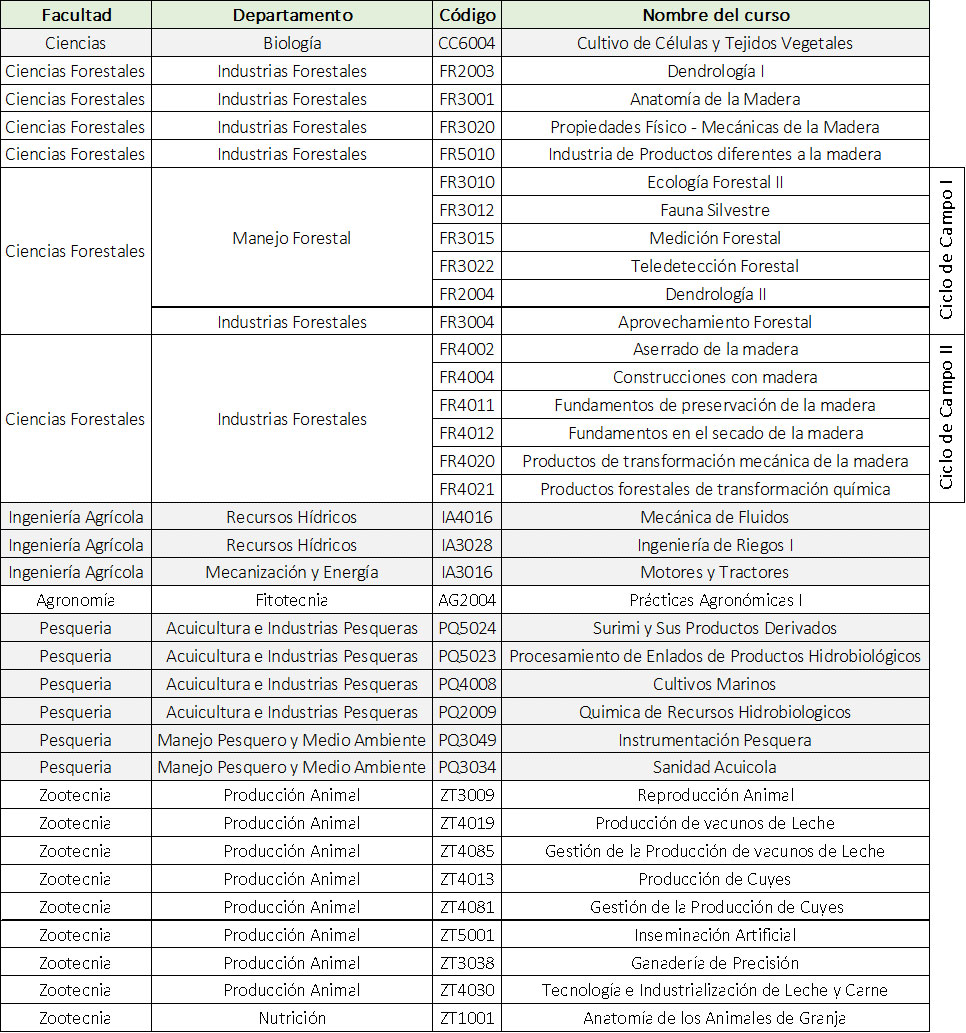cuadro programacin prcticas