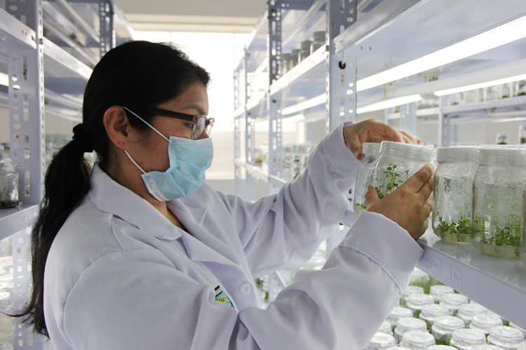 VICERRECTORADO DE INVESTIGACIN