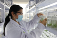 Vicerrectorado de Investigacin