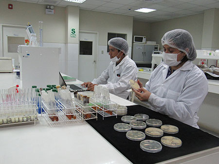 foto interior