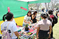 Feria de las Manos Molineras