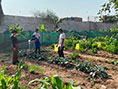 Gestión del Conocimiento Universitario Centro de Acogida Residencial (CAR) San Ricardo del INABIF
