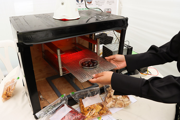 Estudiantes de la UNALM diseñan prototipo de deshidratador de alimentos con ahorro energético y mayor eficiencia