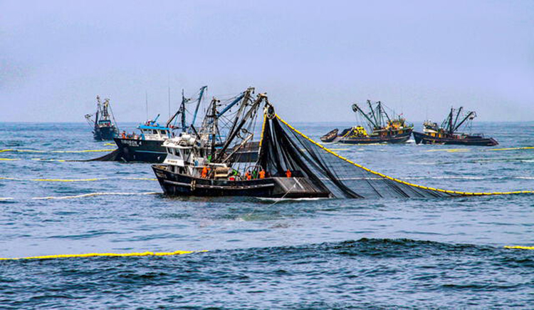 Día Mundial de la Pesca