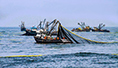 Día Mundial de la Pesca