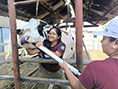 Innovador proyecto en la UNALM busca mejorar la salud y productividad de vacas lecheras