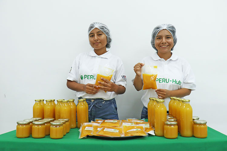 Colaboradores de PERU-Hub