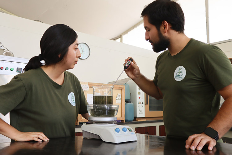 Investigación e innovación con algas para el futuro sostenible