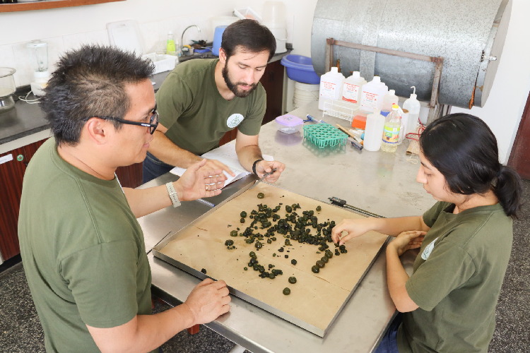 Grupo CITEBAL estudiando las micro y macroalgas
