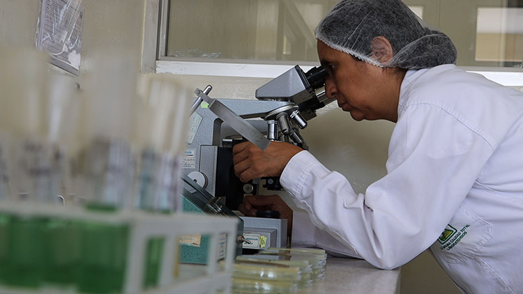 Instituto La Molina Calidad Total: 30 años de innovación y certificación al servicio del país