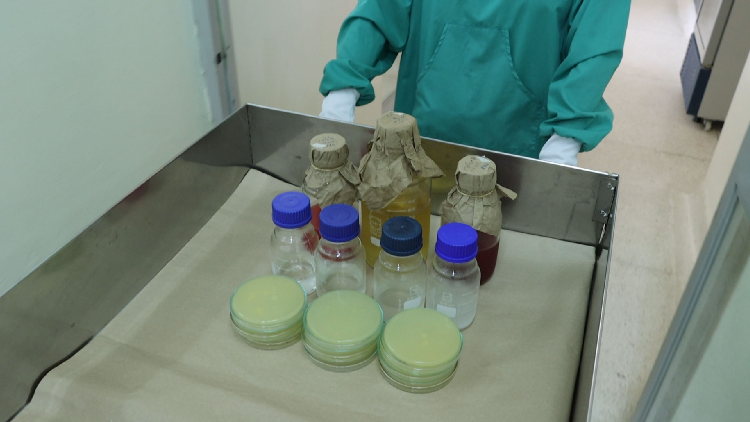 ensayos de laboratorio