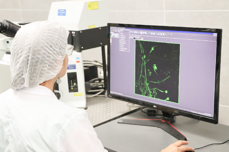 proyectos en el laboratorio