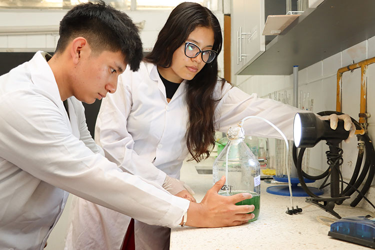 Círculo de Investigación en Ecotoxicología y Salud Ambiental