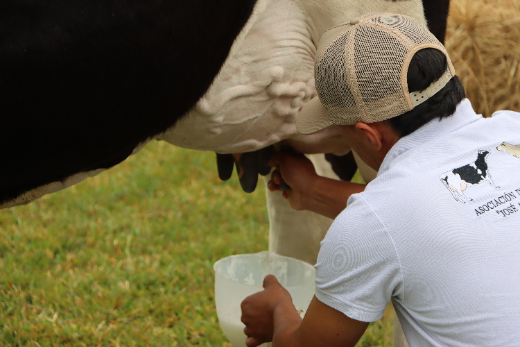 Asociación de Ganaderos Lecheros del Perú (AGALEP