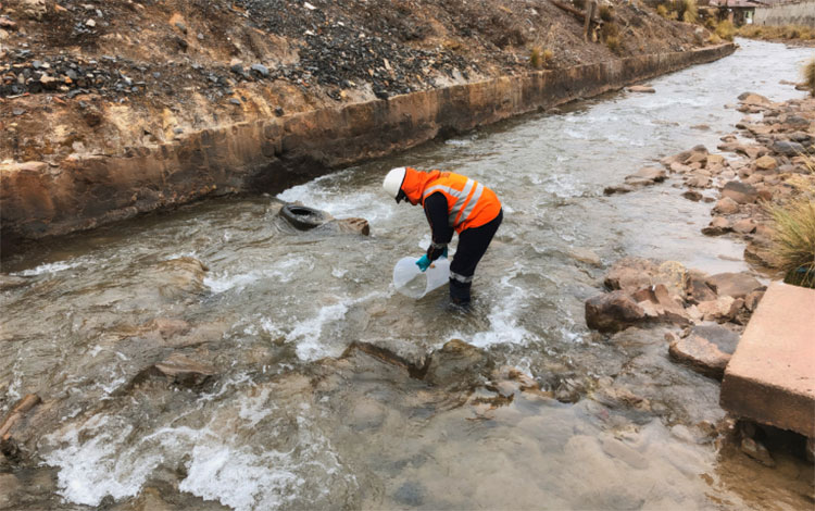 Econiza, el emprendimiento nacido en la UNALM
