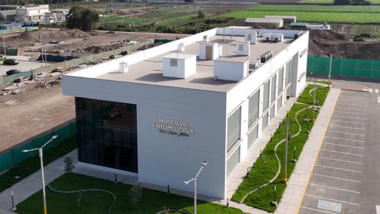museo de Entomología de la UNALM