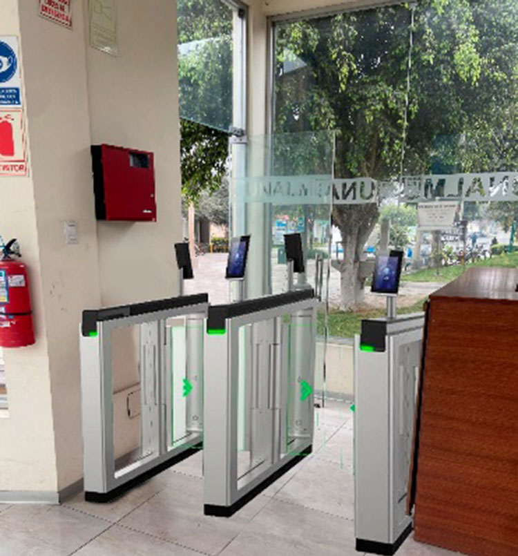 Puerta peatonal No. 1