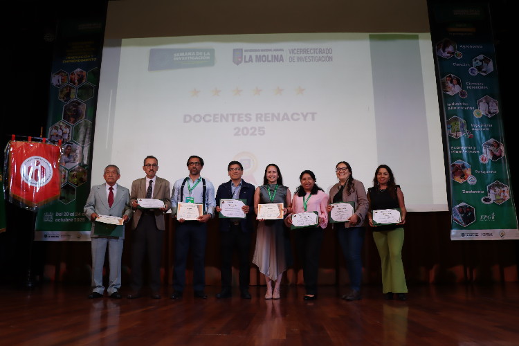 Docentes Renacyt
