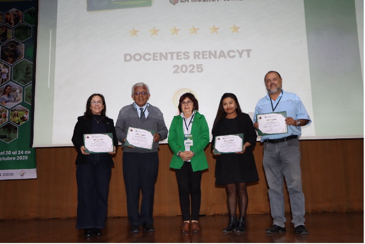 Docentes Renacyt