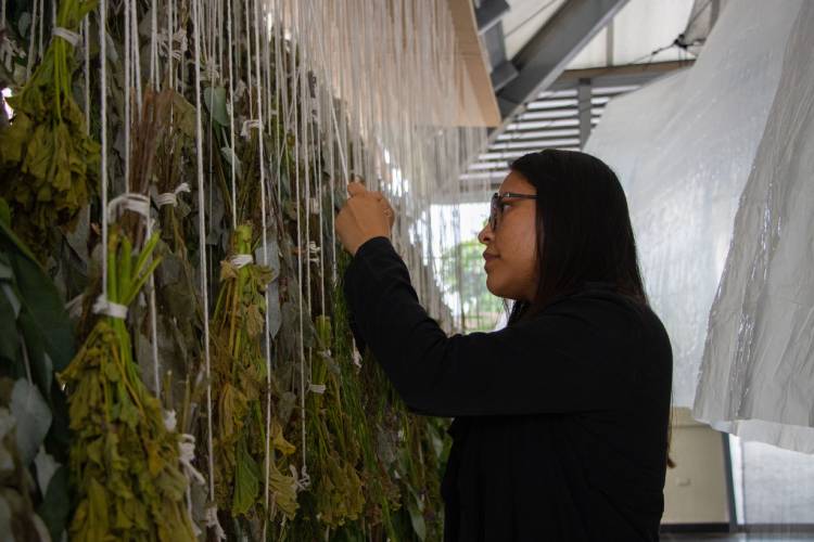 UNALM presentó el Herbario Escénico