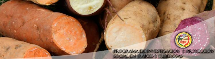 Acto protocolar en el Salón de Grados de la UNALM con autoridades universitarias y municipales