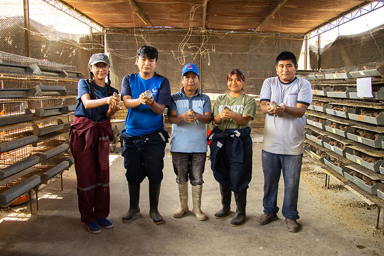 Instalaciones del Programa de Investigación y Proyección Social en Aves de la UNALM