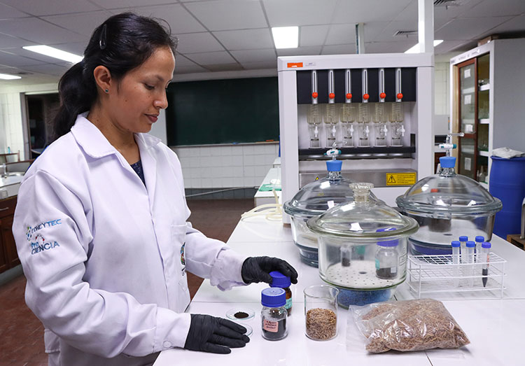 Muestras de biochar elaborado a partir de cascarilla de arroz para tratamiento de arsénico