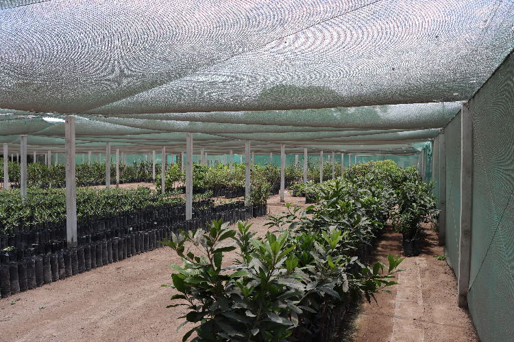 Capacitación técnica a agricultores y estudiantes