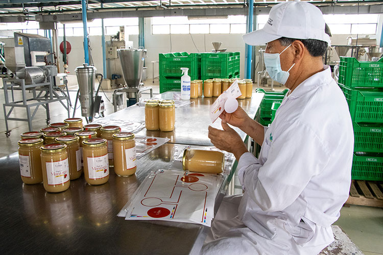 Especialista con uniforme sanitario etiqueta frascos de puré de manzana en la planta de procesamiento de conservas del INDDA