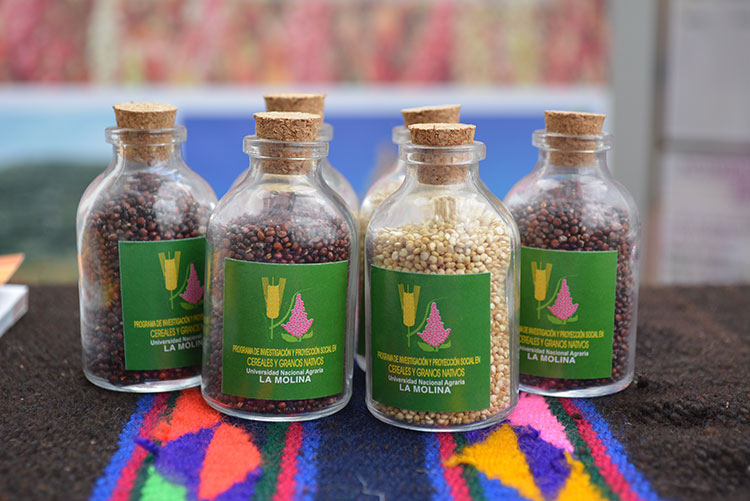 Frascos de quinua roja y blanca con etiquetas del programa de investigación de la UNALM