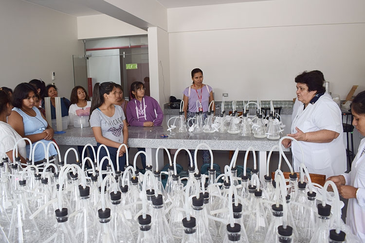 La investigadora Chirinos y estudiantes de la UNALM examinan una serie de matraces en el laboratorio de biotecnología.