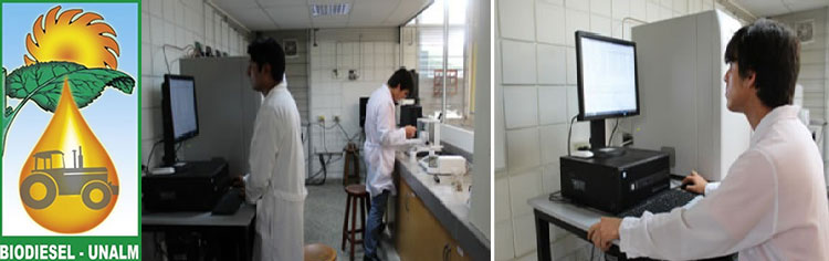 Personal investigador en el laboratorio de energías renovables de la UNALM analizando datos frente a equipos informáticos.