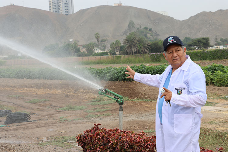 El Dr. Jesús Abel Mejía supervisa el funcionamiento de un aspersor de riego en las áreas de cultivo de la universidad