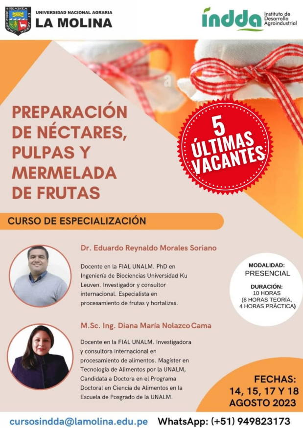 CURSO PREPARACIÓN DE NECTARES PULPAS Y MERMELADAS DE FRUTAS