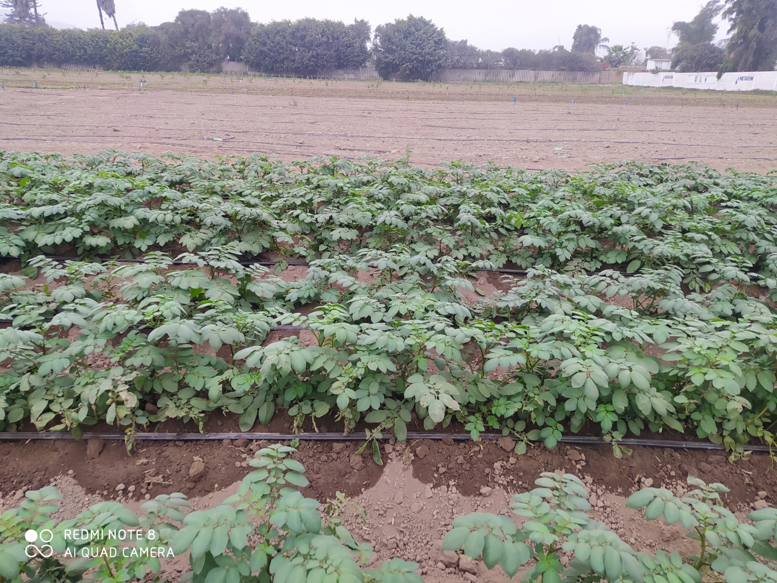 DOCUMENTOS DE INTERÉS