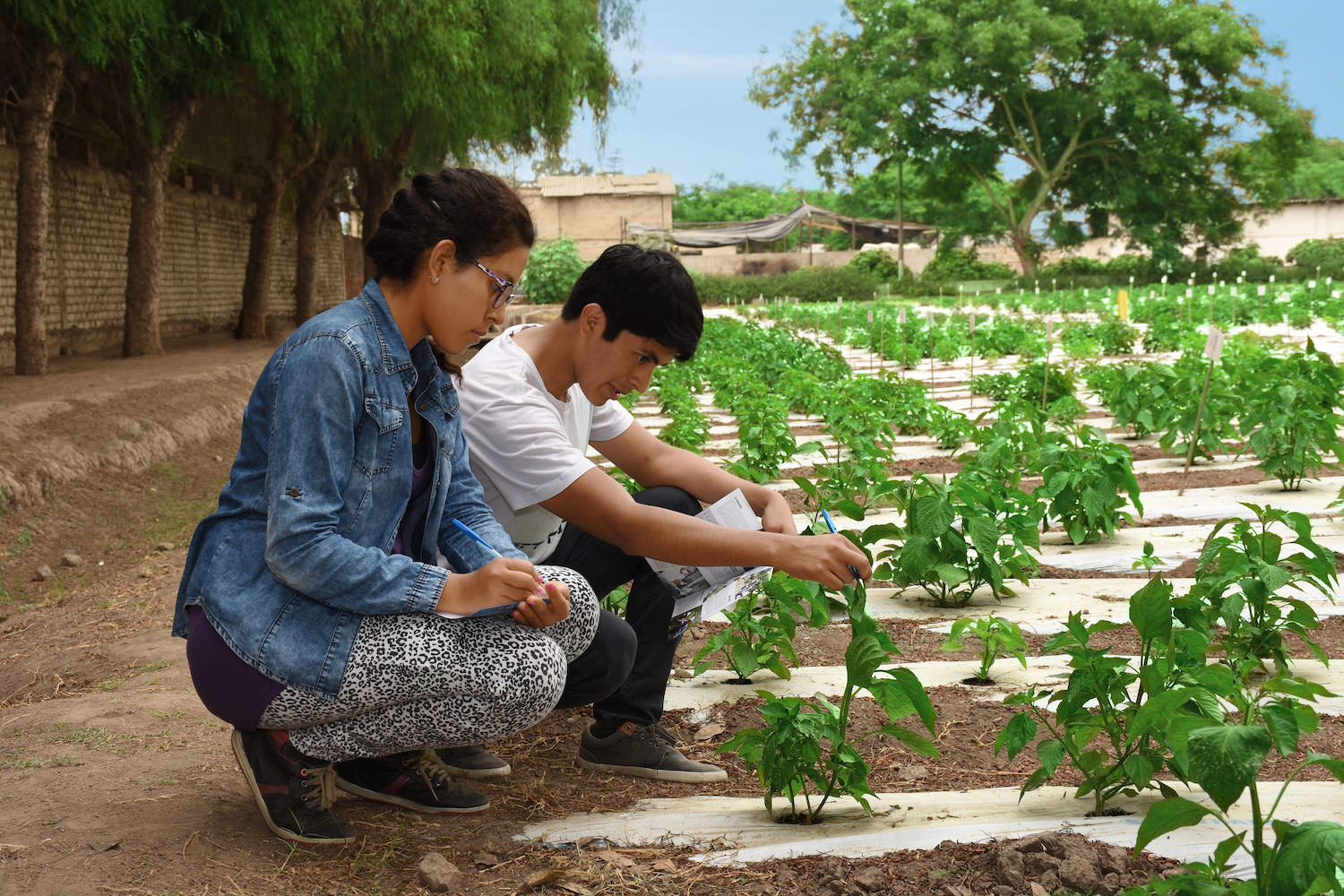 INVESTIGACIÓN Y PROYECTOS