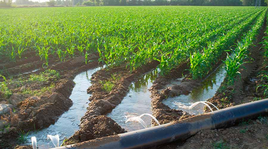 Maestría en Riego y Drenaje