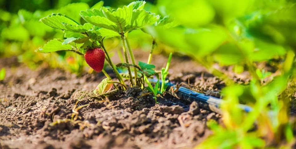 Excelencia Académica